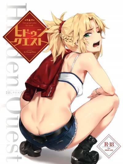 [OrangeMaru (YD)] ヒドゥンクエスト OrangeMaru Special 08 (Fate Grand Order) [洨五組]