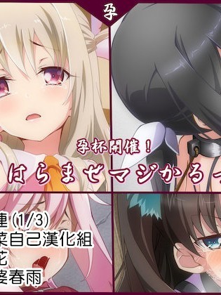 [文月會] はらませマジかるっ! (Fatekaleid liner プリズマ☆イリヤ)[自己的配菜自己漢化組]
