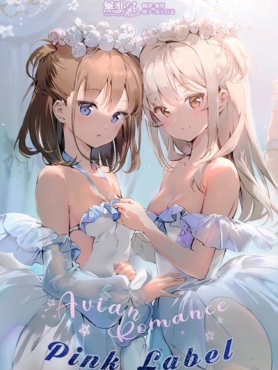 [無邪気漢化組] (C96) [メガネ少女 (Anmi)] Avian Romance Pink label6