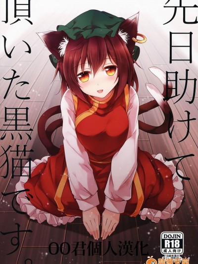 [みどりねこ(みどり)][先日助けて頂いた黒猫です。]