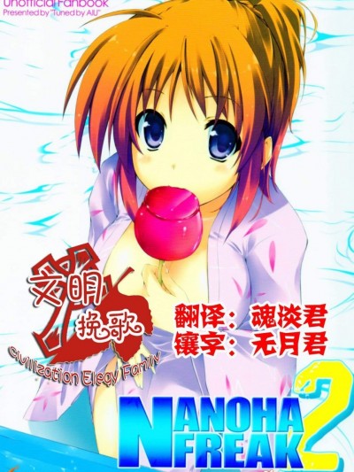 [Tuned by AIU(藍兎)][NANOHA FREAK 2]