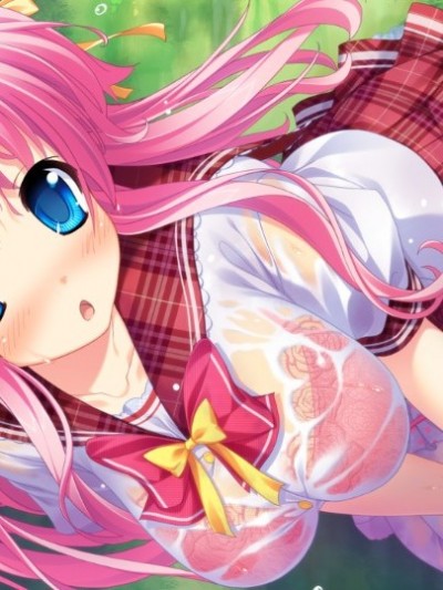 妹天堂2CG（桃花醬精簡版）