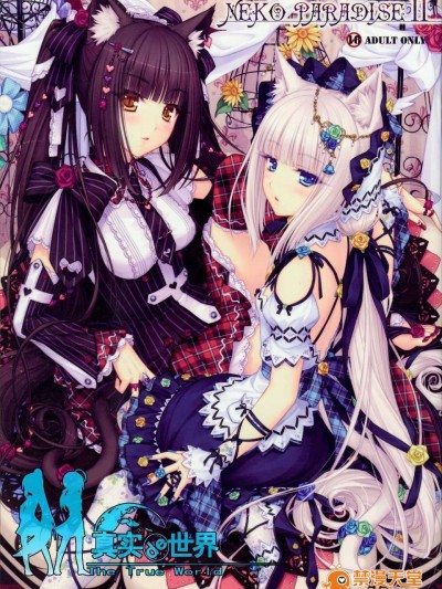 [NEKO WORKs (さより)] NEKO PARADISE II [真實de漢化組](C80)