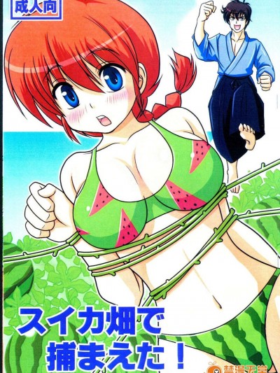 (C84) [りーず工房 (王者之風)] スイカ畑で捕まえた! (らんま12)