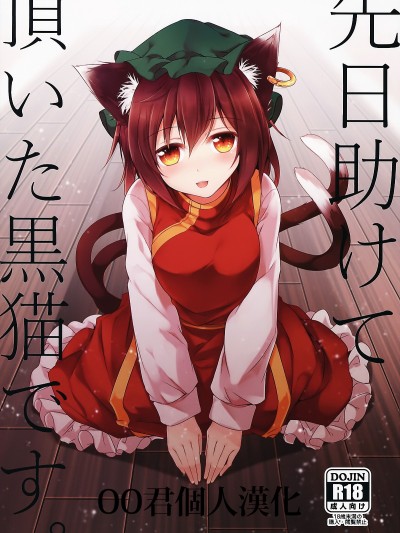 (東方合同イベント2017新春!) [みどりねこ (みどり)] 先日助けて頂いた黒貓です。 (東方Project) [中國翻訳]