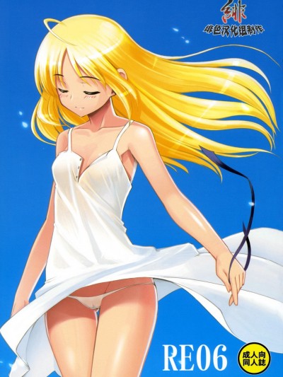 (C72) [RUBBISH選別隊 (無望菜志)] RE06 (Fatestay night) [中國翻訳]