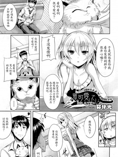[貓伊光] 貓.可愛いでしょ