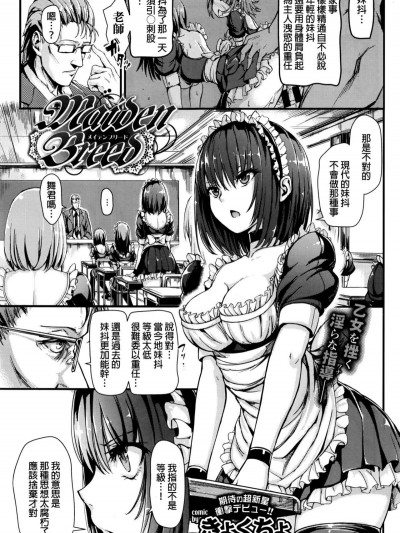 [きょくちょ] Maiden Breed (COMIC BAVEL 2016年10月號)