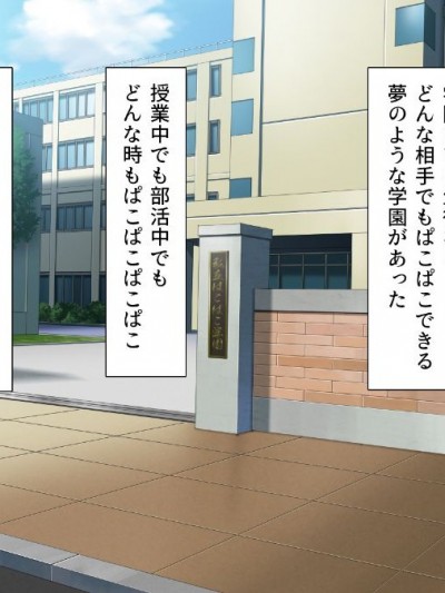 (同人CG集) [汁っけの多い柘榴] 私立ぱこぱこ學園