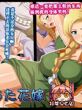 Ochita Hanayome | Fallen Bride (Dragon Quest V)【Chinese】【不咕鳥漢化組】