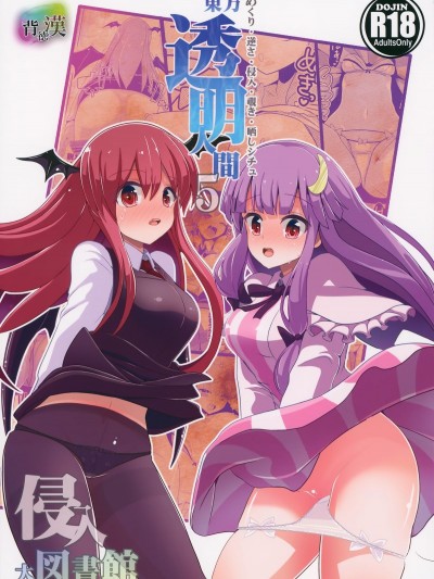 (紅樓夢10) [背徳漢 (背徳漢)] 東方透明人間5 侵入 大図書館 (東方Project)