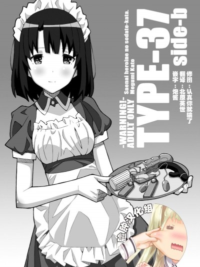 [臉腫漢化組][TYPE-57 (ふらんべる)] TYPE-37 side-b (冴えない彼女の育てかた)