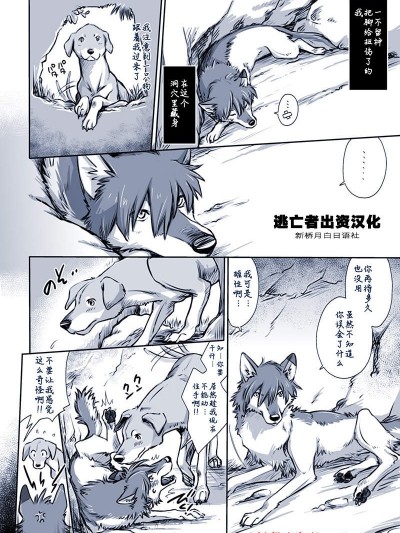 [倉子倉次][或る犬の場合]