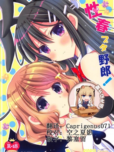 (C95) [倫鈴 (RINRIN)] 性春ブタ野郎! (青春ブタ野郎はバニーガール先輩の夢を見ない) [靴下漢化組]